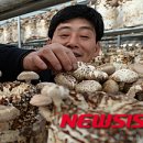 내탐마을 이미지