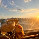 최신민박 이미지