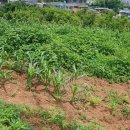 남해-190 이미지