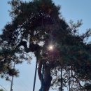 원주굽이길 2코스 700년노송길 이미지