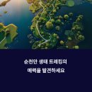 신성리갈대밭습지생태길 | 순천만 국가정원에서 순천만 습지까지, 생태의 길을 걷다