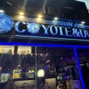 코요테앤어글리 이미지