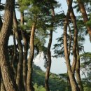 오붓한 강릉 이미지