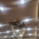 방배천로34길 47 | 시스템 에어컨 청소 말끔하고 완벽하게 청소맛집