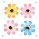 미화장식 이미지