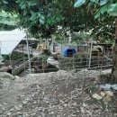 신안갈전마을 이미지