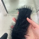 헤어리 - 강북구 | 헤어리