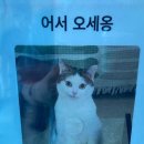 벌크커피운암 - 북구 서강로 160-1 | 벌크커피운암
