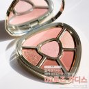 아이콘 소프트 | 돌체앤가바나 에버 아이콘 아이 팔레트 02 로즈 가디스 내돈내산 실물 발색 리뷰