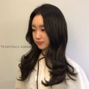 탤런트미용실 이미지