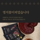 일월종가