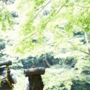 바다, 생명을 담다 이미지