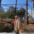 어썸데일리