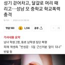 성기 걷어차고, 달걀로 머리 때리고…성남 모 중학교 학교폭력 충격 이미지