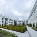 더 시에나 리조트 | 제주도 더 시에나 리조트 스위트룸 객실 숙박 후기