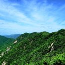 평화와 미래를 향한 울림 음악회 | 동북아평화번영 실천연대