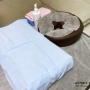 우먼홈케어뷰티 이미지