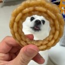 조인덴탈 네이버블로그