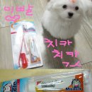 미라클덴탈 이미지