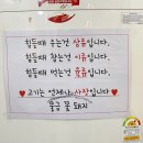 물금꽃돼지
