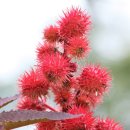 아리랑노래방 이미지