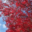 해드림행정사사무소 이미지