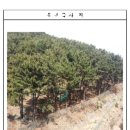 사하구-11 이미지