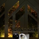 아스트로(ASTRO) 관광호텔 | 라벤더의 나라 뉴질랜드 I LOVE LAVENDER