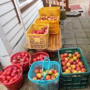 은진세탁소 이미지