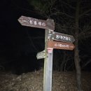 솔밭가든 이미지