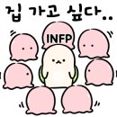 자연체육관 이미지