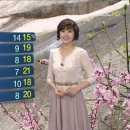 몽산포 야영장 이미지