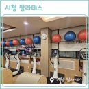 JS플라잉&요가 | 시청역필라테스 운동 제대로 할 수 있는 JS웰필라테스