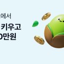 돈나무 3명 고정멤구합니다(마지막한명구해) 이미지