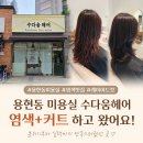헤어로움 - 광명시 | 용현동 미용실 수다움헤어 염색+커트 방문 솔직 후기