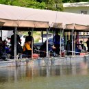 동막낚시터 이미지