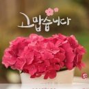 그곳에가면모텔 이미지