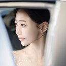 화이트포토그래피 이미지