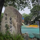 솔밭어린이공원 네이버블로그