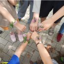 한국숲해설가협회 이미지