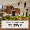 풍요의 정원 | 부안 여행코스에 꼭 넣어야 할 부안신상카페 풍요일지