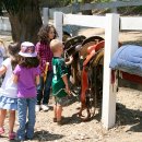 공원숯불갈비 이미지