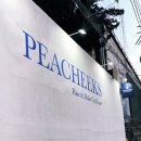청담동 미용실 헤어 메이크업샵 피칙스 방문 후기
