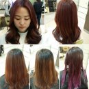 팔앤팔 이미지
