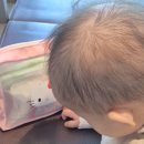 여름 쇼핑 하울 | 어쩌다 키친자의 키티 패닉바잉 후기 (+유니클로 키티잠옷, 다이소 키티템...