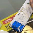 야옹아멍멍해봐강릉