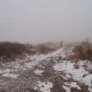 호남목장 이미지