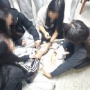 전주효정중학교 이미지