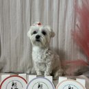 멍이방앗간 이미지