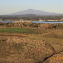 협자연대 이미지